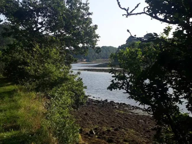 Rives du Goyen